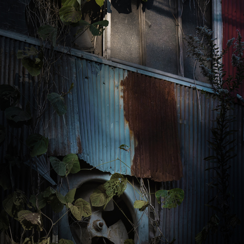 Traces of Former Vibrancy