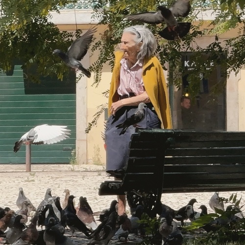Photo #14008800