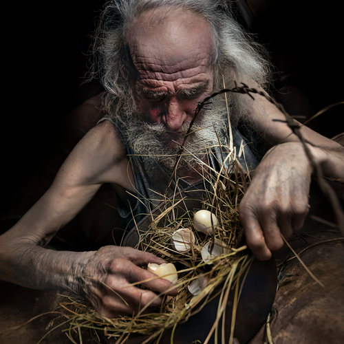 A man and a nest III.