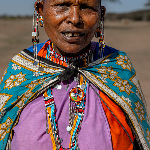 Photo #14008875