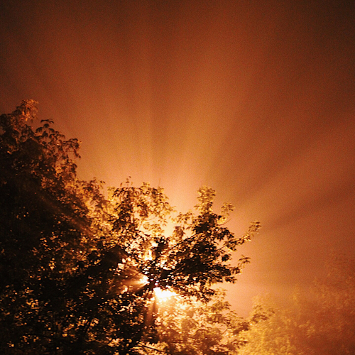 Photo #14008955