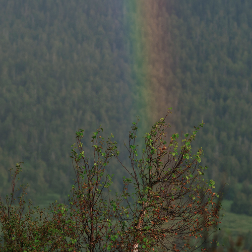Photo #14008972