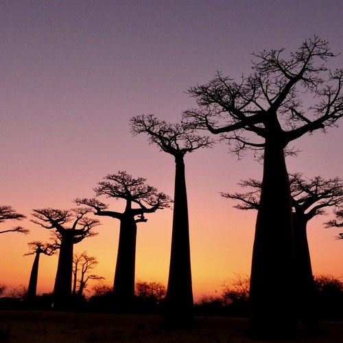 Madagascar sunset