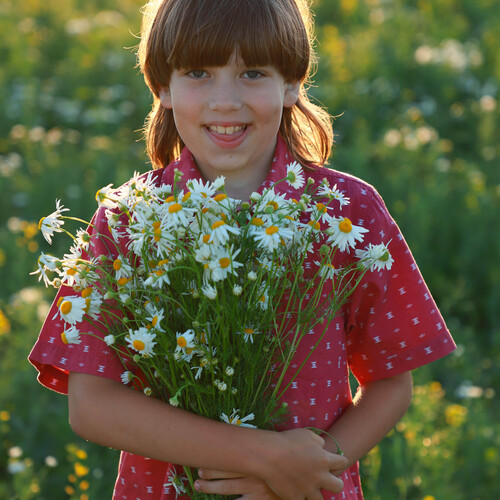 Photo #14009144