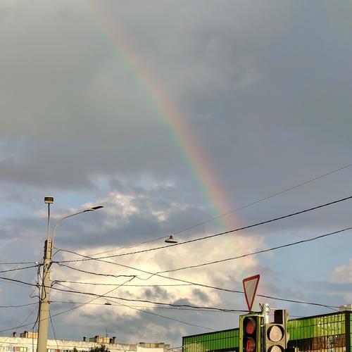 Photo #14009369