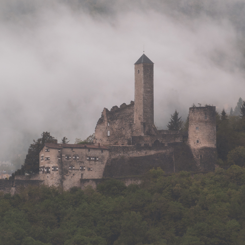 Photo #14009373