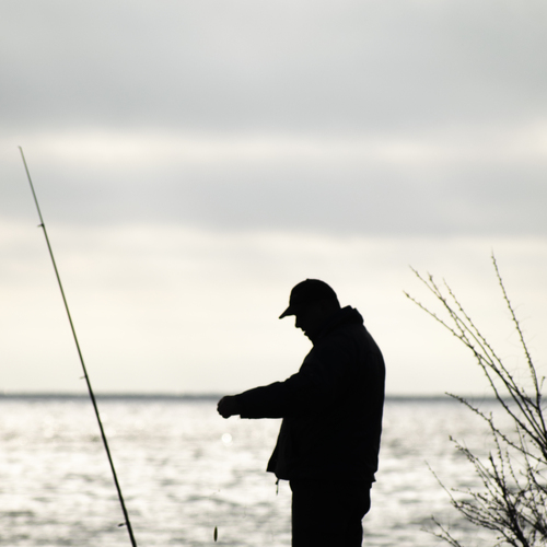 Photo #14009424