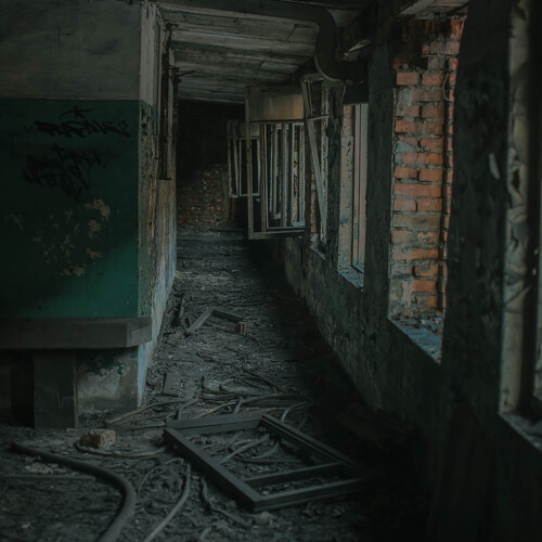 Photo #14009426