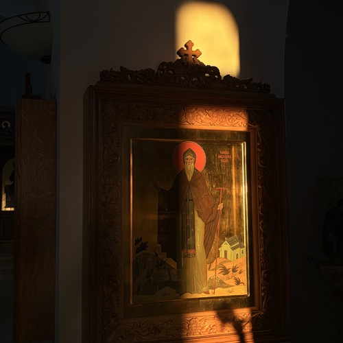 Photo #14009448