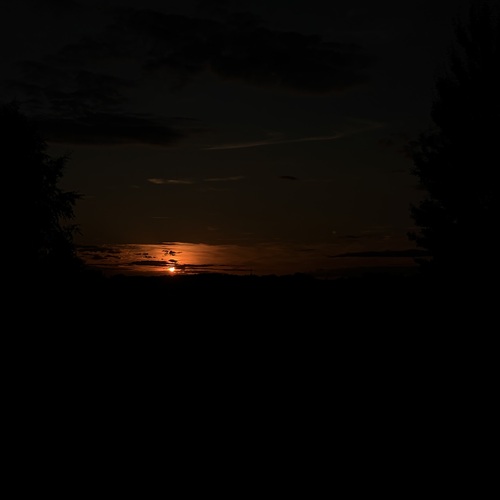 Photo #14009449