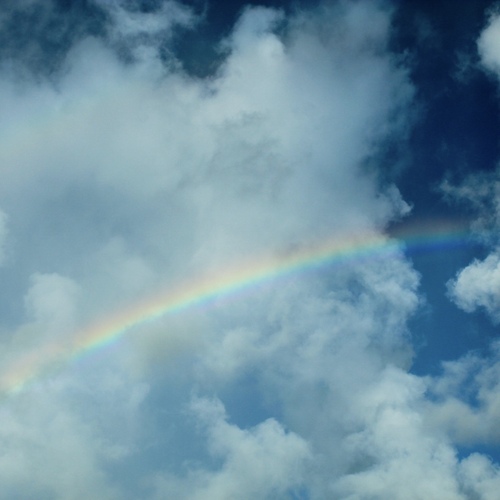 Photo #14009784