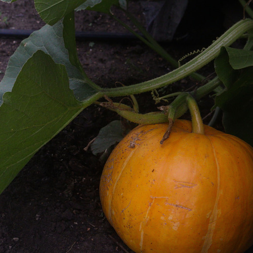 Photo #14009928
