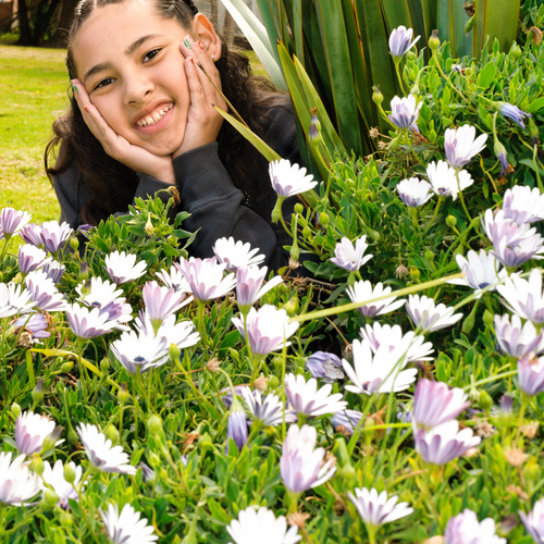 Blossoms of Youth and Joy