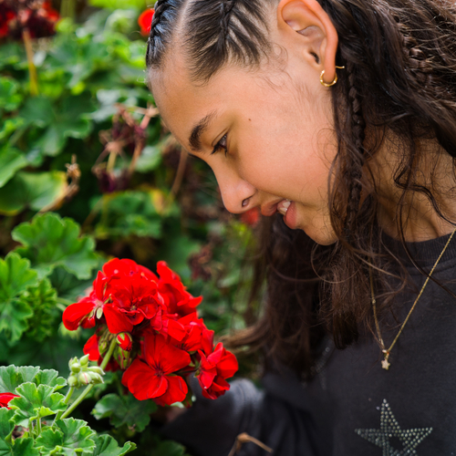 Scarlet Harmony and Youth