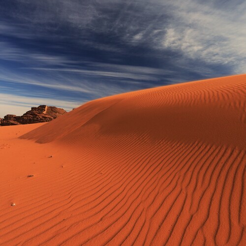 Photo #14010141
