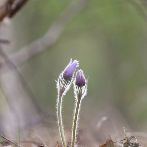 Photo #14010235