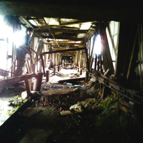 Photo #14010239