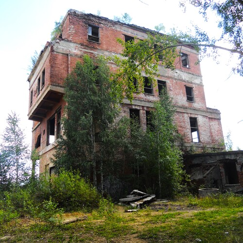 Photo #14010240