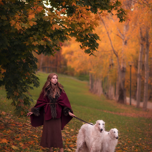 Photo #14010411