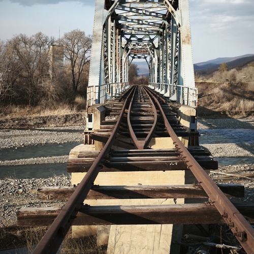 Photo #14010578