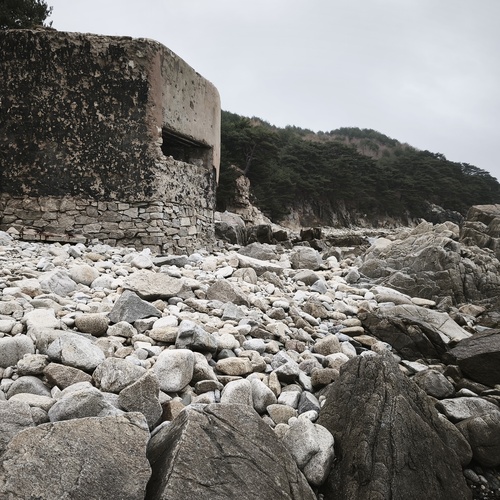 Photo #14010586