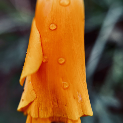 Photo #14010786