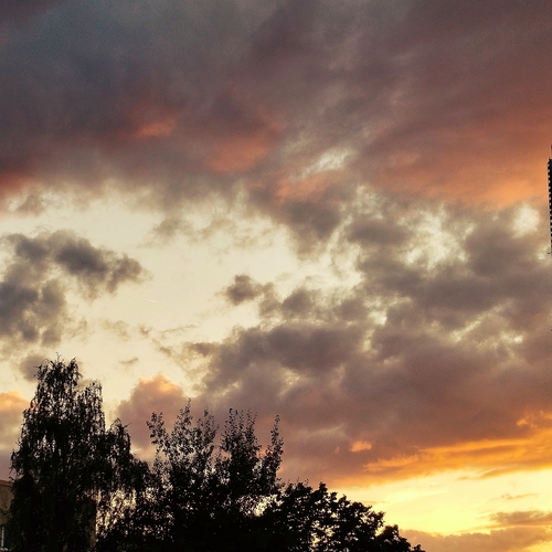 Photo #14010806