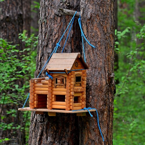 Photo #14010964