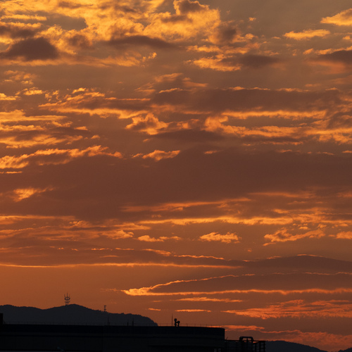 Photo #14011158