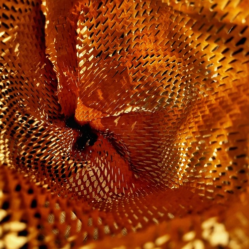 Photo #14011300