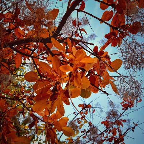 Photo #14011301