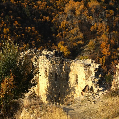 Photo #14011352
