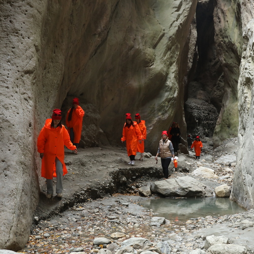 Photo #14011362