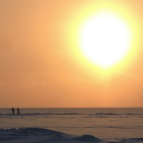 Photo #14011385