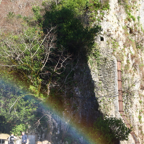 Photo #14011386