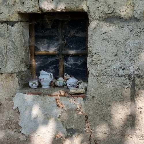 Photo #14011404