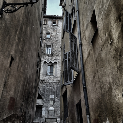 Photo #14011405