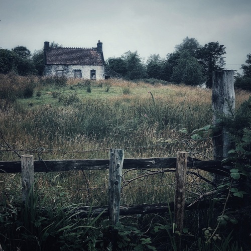Photo #14011406