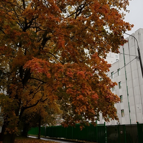 Photo #14011573