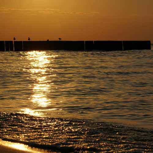 Photo #14011607