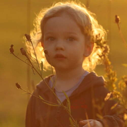 Photo #14011666