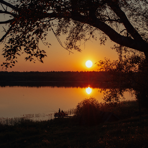 Photo #14011730
