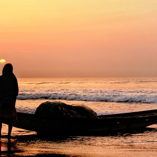Photo #14012105