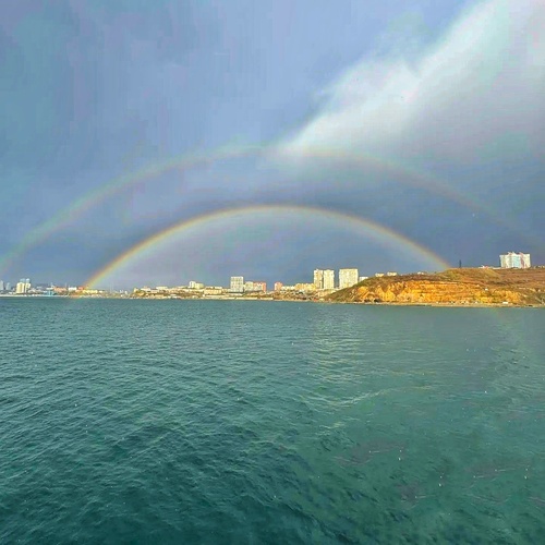 Photo #14012261