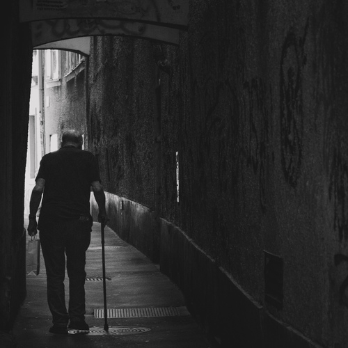 Photo #14012278