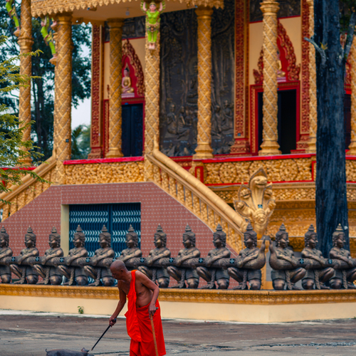 GO QUAO, VIETNAM - SEPTEMBER 10, 2026: An elderly Buddhist monk in traditional saffron robes interacts with a small pig in the courtyard of a majestic Khmer temple, featuring intricate golden pillars and mythological guardian statues in the Mekong Delta