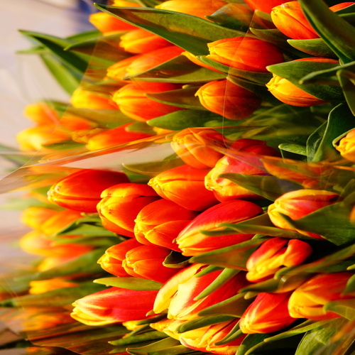 Photo #14012367