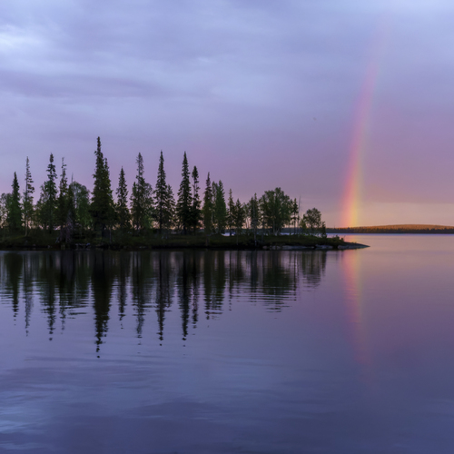 Фотография #14012558