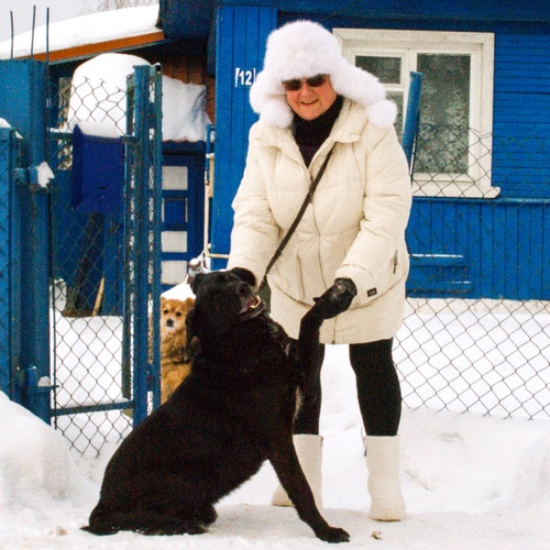 Photo #14012606