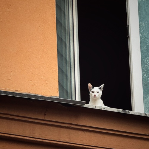 Photo #14012609